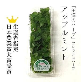 Amazon | 【アップルミント】 フレッシュハーブ 生 20g 生産者